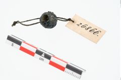Foto von Glasaugenperle (NHMW-PRAE-026866)
